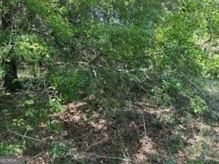 108 Sasser Rd, Leesburg, GA 31763