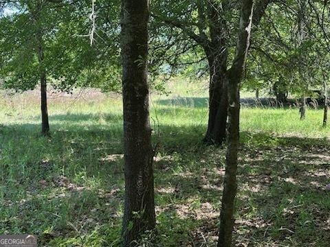108 Sasser Rd, Leesburg, GA 31763