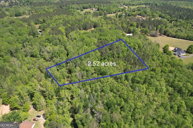 2310 Hollonville, Williamson, GA 30292