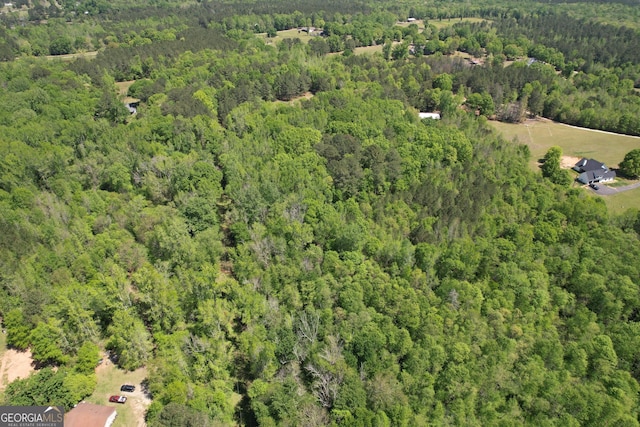 2310 Hollonville, Williamson, GA 30292