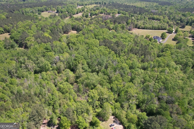 2310 Hollonville, Williamson, GA 30292