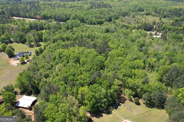 2310 Hollonville, Williamson, GA 30292