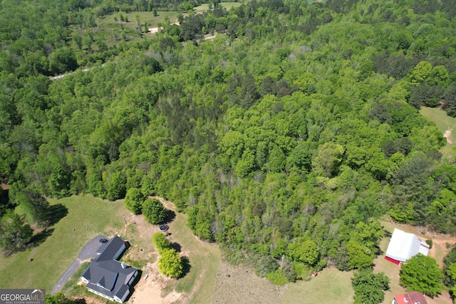 2310 Hollonville, Williamson, GA 30292
