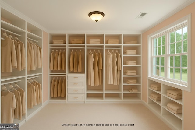 60 Heritage Keep, Covington, GA 30016 - view of spacious closet