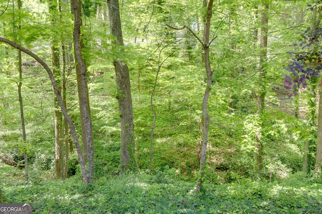 view of wooded area