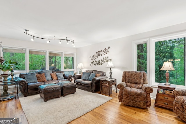 4761 Gateway Ln, Flowery Branch, GA 30542 - living area featuring light wood-style floors