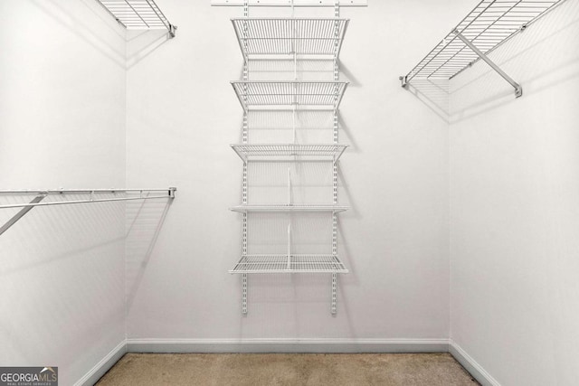 406 Vinings Forest Cir SE, Smyrna, GA 30080 - view of spacious closet