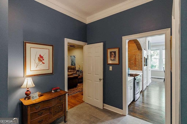 835 Timothy Rd, Athens, GA 30606 - hallway featuring wood finished floors, baseboards, and ornamental molding