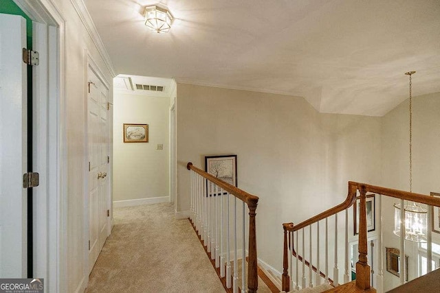 835 Timothy Rd, Athens, GA 30606 - hall featuring carpet, visible vents, ornamental molding, an upstairs landing, and baseboards