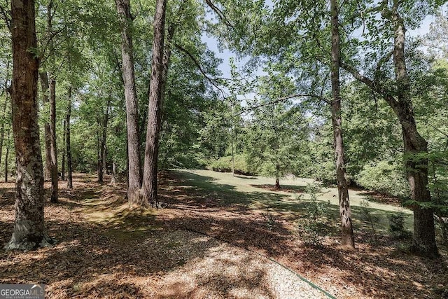 835 Timothy Rd, Athens, GA 30606 - view of nature with a wooded view
