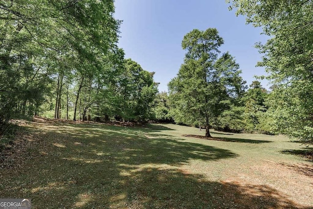 835 Timothy Rd, Athens, GA 30606 - view of yard with a forest view