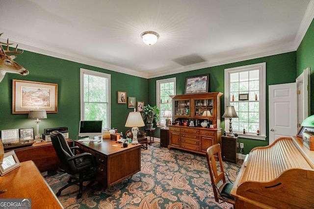835 Timothy Rd, Athens, GA 30606 - carpeted home office featuring baseboards, crown molding, and plenty of natural light