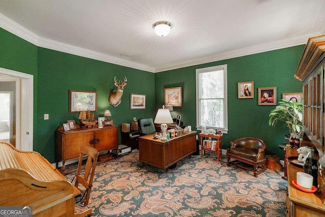 835 Timothy Rd, Athens, GA 30606 - home office with crown molding