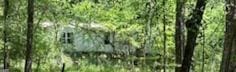 154 Sasser Rd, Leesburg, GA 31763 - view of nature