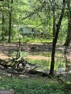 154 Sasser Rd, Leesburg, GA 31763 - view of undeveloped land