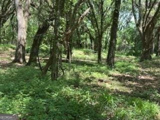 154 Sasser Rd, Leesburg, GA 31763 - view of nature