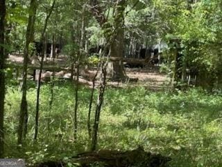 154 Sasser Rd, Leesburg, GA 31763 - view of tree filled area