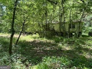 154 Sasser Rd, Leesburg, GA 31763 - view of local wilderness