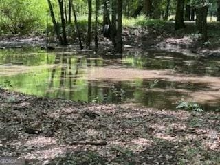 154 Sasser Rd, Leesburg, GA 31763 - view of local wilderness