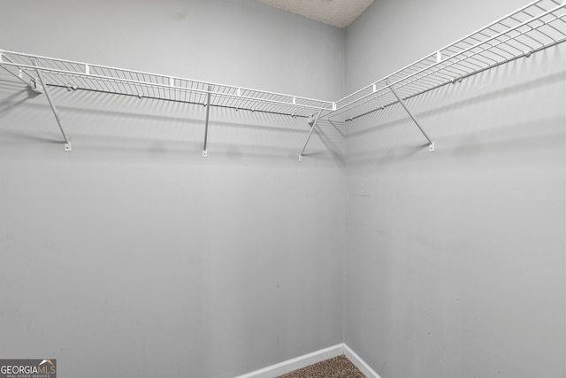 spacious closet featuring carpet floors