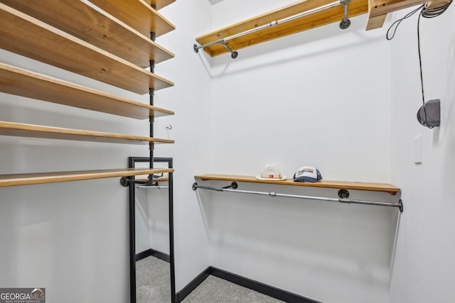 5300 Peachtree Rd Unit 3601, Atlanta, GA 30341 - spacious closet with carpet floors