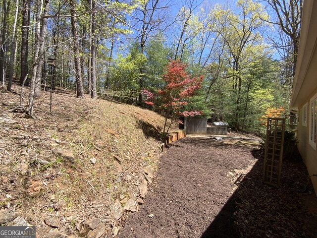 522 Satsuma Ct S, Ellijay, GA 30540 - view of yard