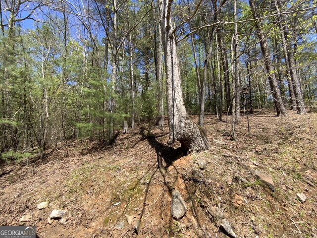 522 Satsuma Ct S, Ellijay, GA 30540 - view of undeveloped land