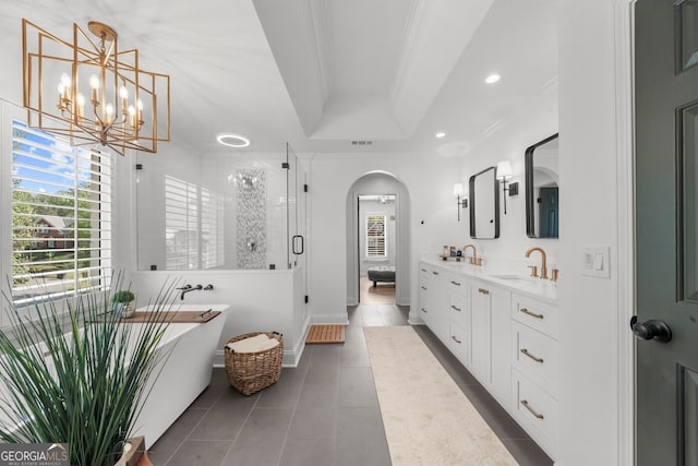 full bathroom with a wealth of natural light, a tray ceiling, a sink, and double vanity