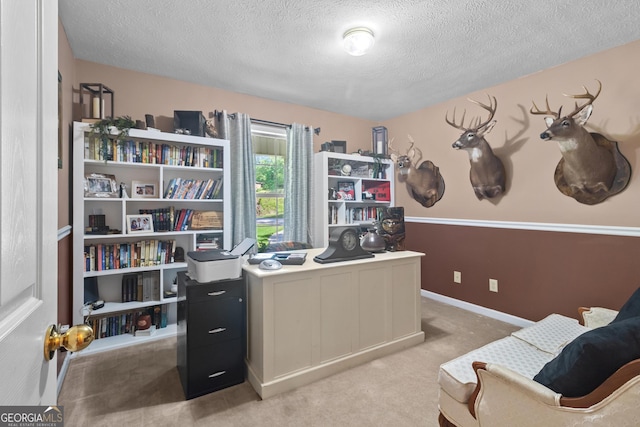 office featuring baseboards, a textured ceiling, and light colored carpet