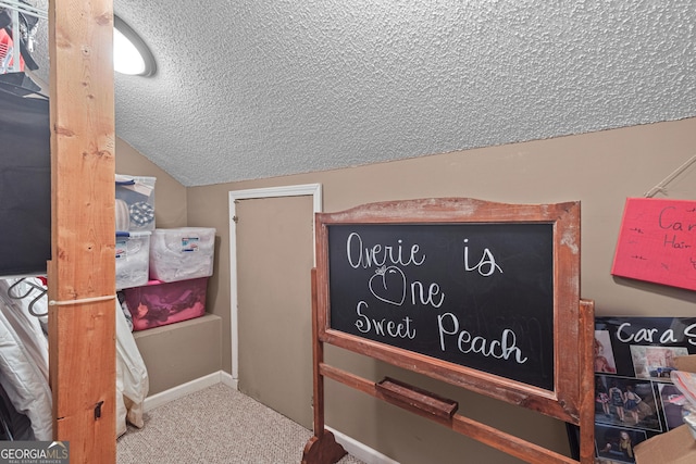 details featuring carpet flooring and a textured ceiling