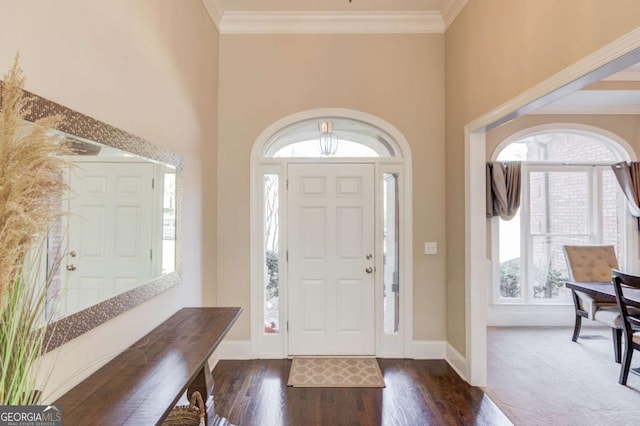 foyer entrance featuring baseboards, a high ceiling, dark wood-type flooring, and ornamental molding
