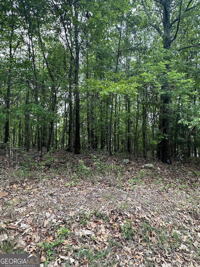 427 Cooper St, Summerville, GA 30747
