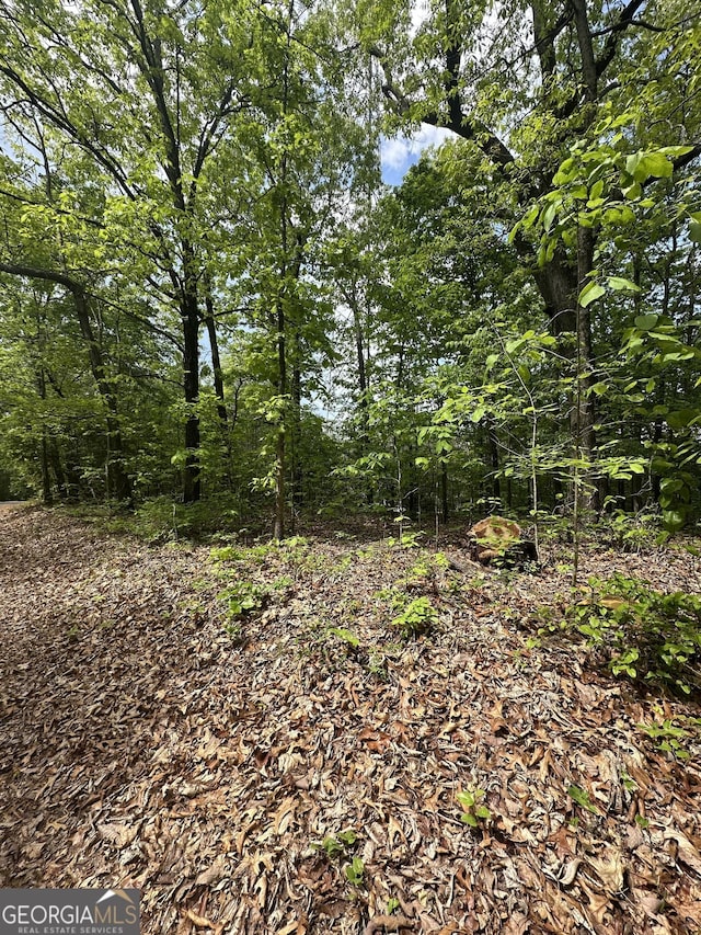 427 Cooper St, Summerville, GA 30747