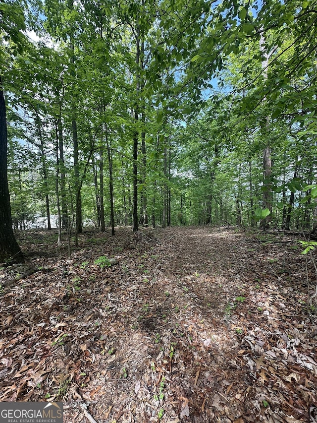 427 Cooper St, Summerville, GA 30747