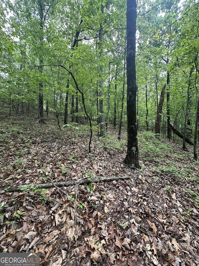 427 Cooper St, Summerville, GA 30747