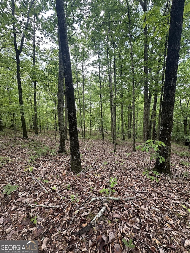 427 Cooper St, Summerville, GA 30747