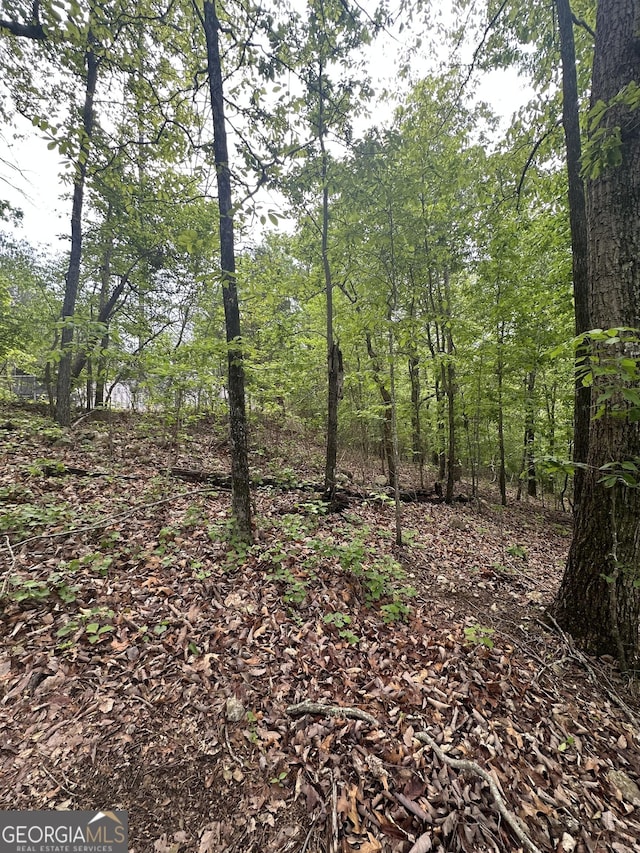 427 Cooper St, Summerville, GA 30747