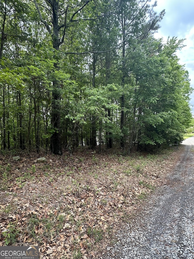 427 Cooper St, Summerville, GA 30747