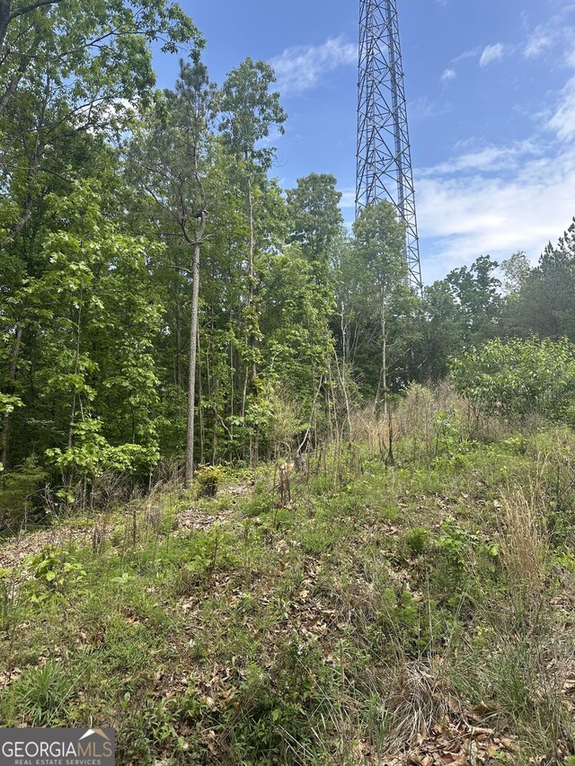 427 Cooper St, Summerville, GA 30747
