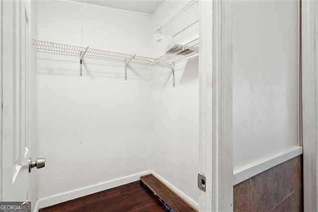 spacious closet featuring dark wood-style floors