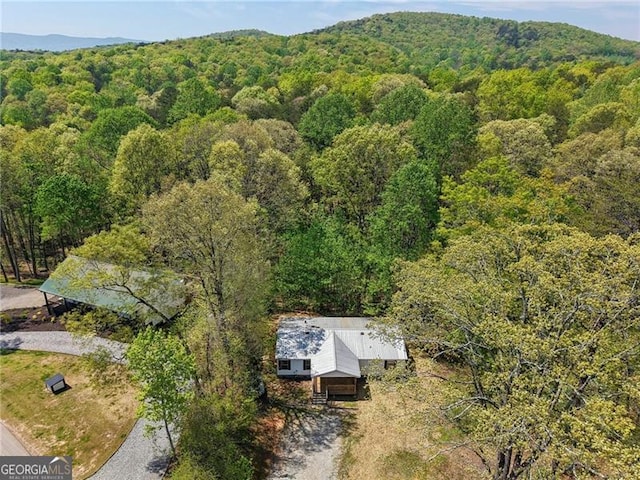 bird's eye view with a forest view