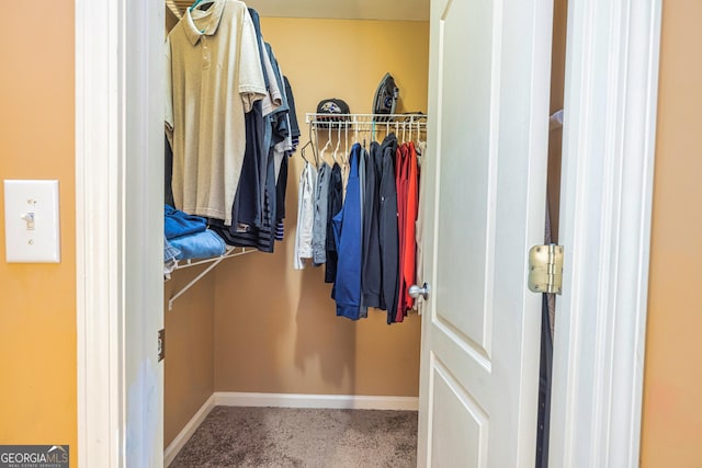 walk in closet with carpet flooring