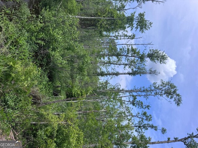 0 Walter Phillips Rd, Hazlehurst, GA 31539