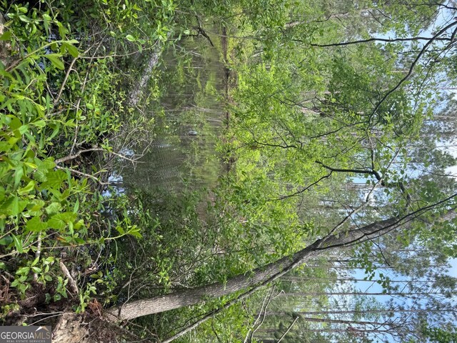 0 Walter Phillips Rd, Hazlehurst, GA 31539