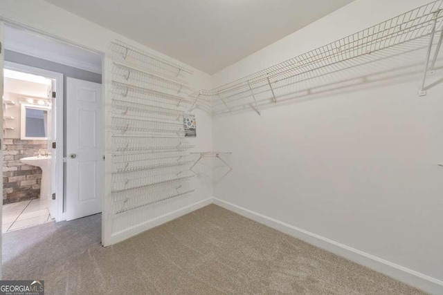 walk in closet with carpet