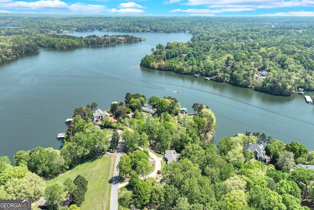 2436 Hawthorne Ln, Gainesville, GA 30506 - bird's eye view featuring a wooded view and a water view