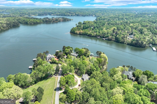 2436 Hawthorne Ln, Gainesville, GA 30506 - bird's eye view featuring a wooded view and a water view