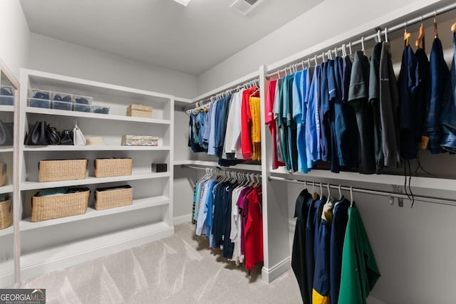 4815 Amble Trce, Cumming, GA 30040 - walk in closet with carpet floors