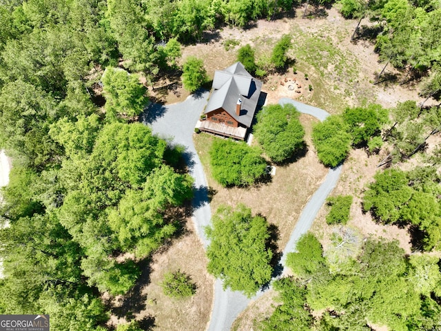 54 Lodge Ground Ln, Hawkinsville, GA 31036 - drone / aerial view