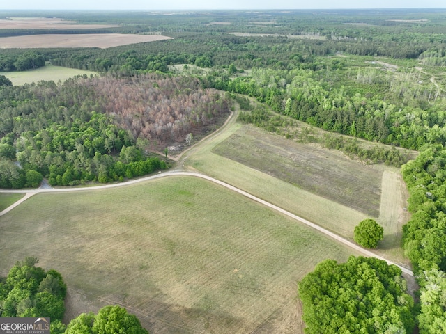 54 Lodge Ground Ln, Hawkinsville, GA 31036 - birds eye view of property with a rural view and a wooded view